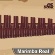 Marimba Xylophone Vibraphone Real
