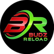 程序图标：BUDZ RELOAD