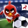 프로그램 아이콘: Angry Birds Goal