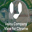 Vainu Company View for Chrome icon