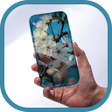 Иконка программы: Theme for Vivo V21