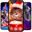 ไอคอนของโปรแกรม: Christmas Wallpaper