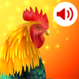Ikona programu: Animals: Ringtones