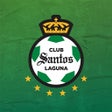 プログラムのアイコン：Club Santos Oficial