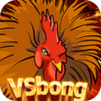 程序图标：VSbong Spin Colors in Sab…