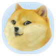 Doge maze - Free game Offline icon