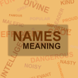 Icon of program: Names Meaning