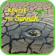プログラムのアイコン：Revive The Sunnah