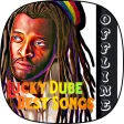 Lucky Dube Best Songs Offline