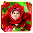 プログラムのアイコン：Photo Flower Frames