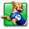 Icon of program: Jerry Rice Dog Football
