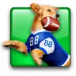 Jerry Rice Dog Football