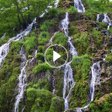 Icoon van programma: Video Wallpaper