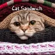 Cat Sandwich Theme HOME