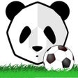 プログラムのアイコン：TheFutbolApp