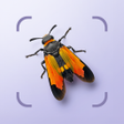 プログラムのアイコン：Bug ID - Insect Identifie…