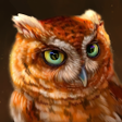 プログラムのアイコン: The Owl