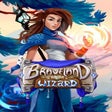 프로그램 아이콘: Braveland Wizard