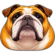 Icoon van programma: Bullshield - User-Agent &…