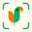 程序图标：Nature ID - Plant Identif…