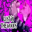Programikonen: Lost in the Woods