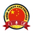 Icoon van programma: Learn Chinese Daily