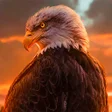 プログラムのアイコン：Eagles Wallpapers