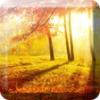 Sunshine Live Wallpaper Free icon