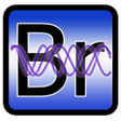 程序图标：Personal Biorhythms Calcu…