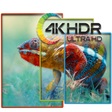 Programın simgesi: Wallpapers 4K