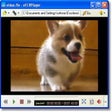 Icon of program: nFLVPlayer
