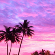 プログラムのアイコン：Sky Wallpapers - 4K  HD B…