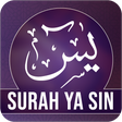 プログラムのアイコン：Surah Yaseen
