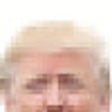 أيقونة البرنامج: The Trumpweb