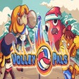 Programın simgesi: Volley Pals