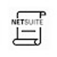 NetSuite Scripted Records icon