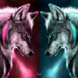 程序图标：Ice Wolf Wallpaper