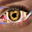 Icon of program: Korean Makeover:Asmr Salo…