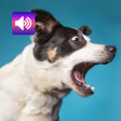 Ícone do programa: Dog Sounds and Ringtone