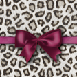 أيقونة البرنامج: Fashion Theme Leopard  Ri…