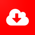 程序图标：4K video downloader