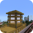 Ikon program: Big City World Craft