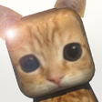 Ikon program: Ay Mi Gatito