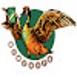 MoreThanPanel Smm Panel Tools icon