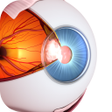 プログラムのアイコン：Vision Workout : Eye Trai…