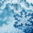 Ikon program: Winter Wallpaper