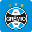 程序图标：Meu Grêmio
