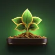 Plant Sense - Plant Identifier