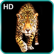 Icon of program: Cheetah Live Wallpaper