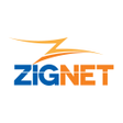 程序图标：Zignet